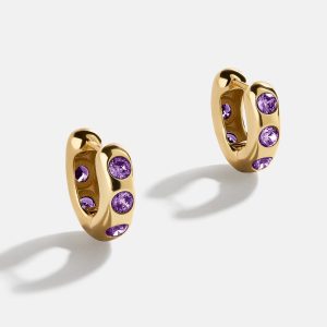 Sydney 18K Gold Birthstone Earrings - Amethyst