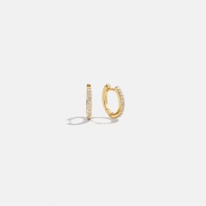 Niata 18K Gold Earrings - 11MM