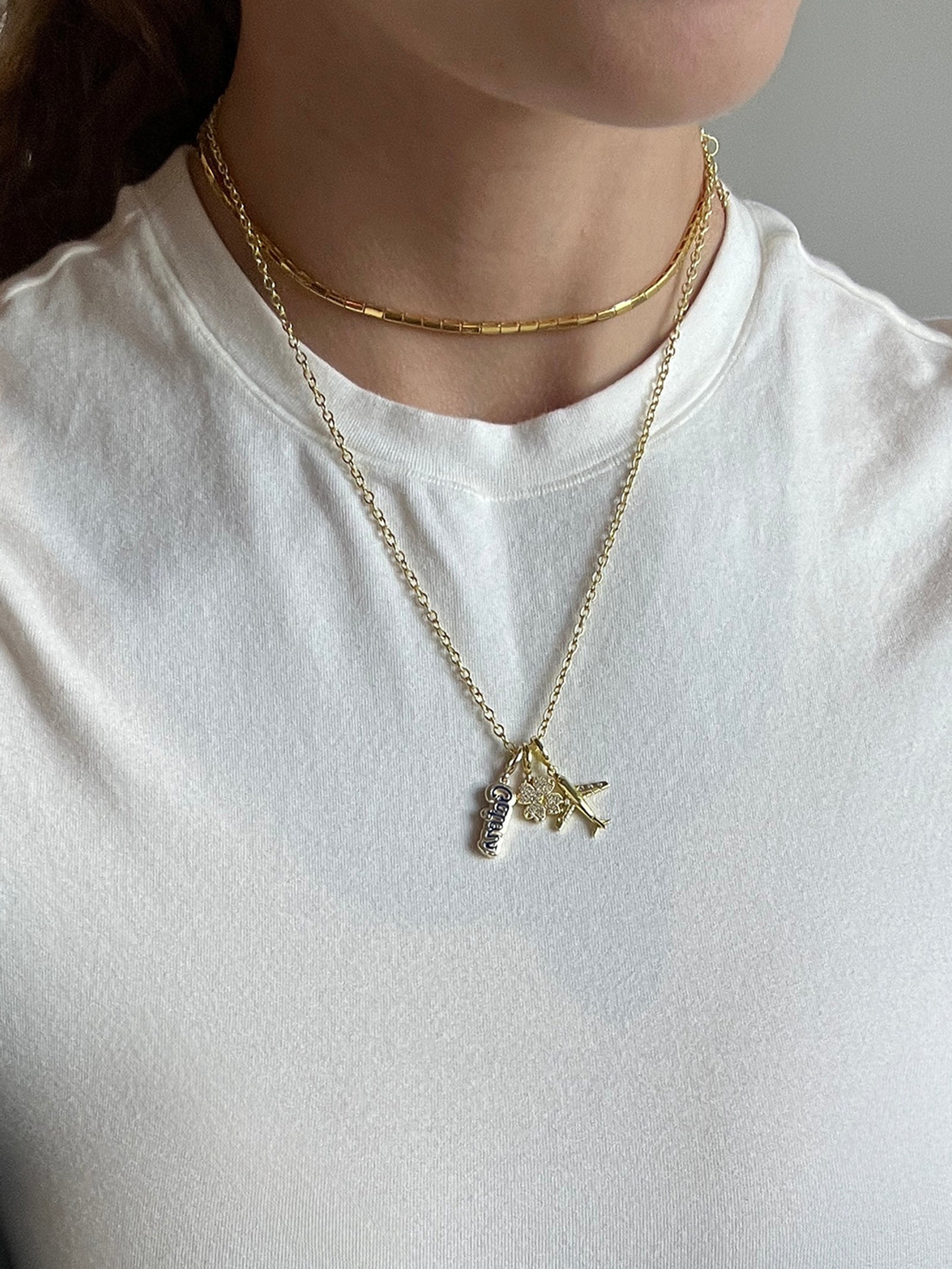 University of Florida Cluster Charm - University of Florida - Image 2