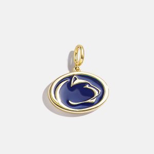 Penn State Cluster Charm - Penn State University